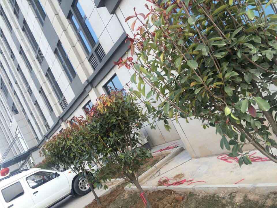 河南OD官方网站总代理