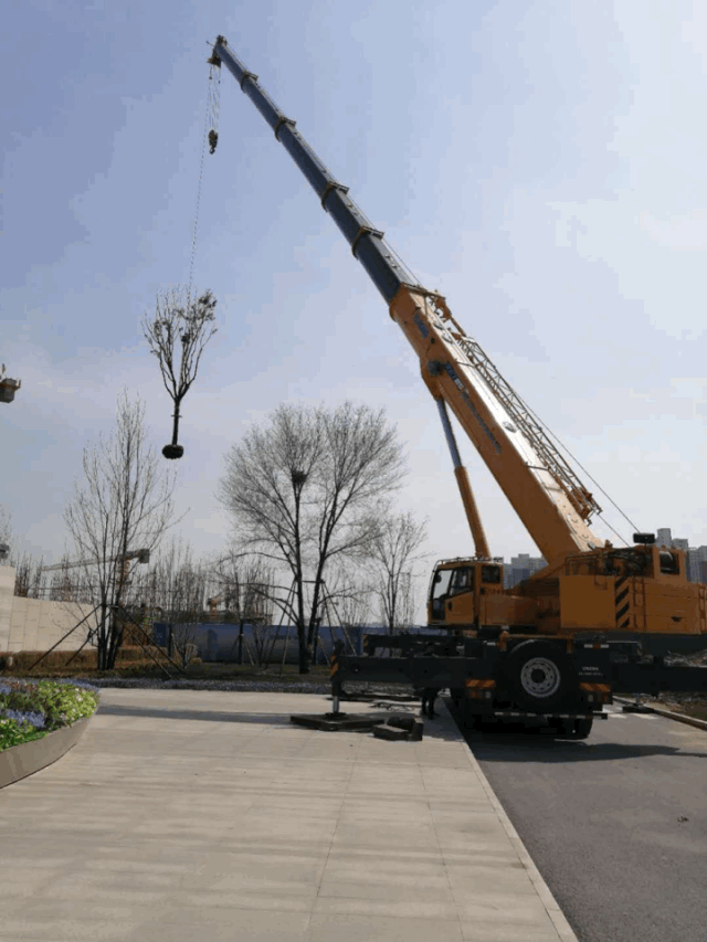 OD官方网站XCT85吨汽车起重机吊大树