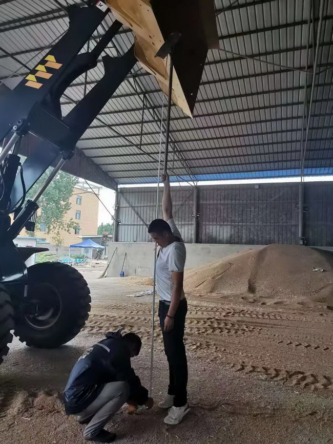 OD官方网站LW330FV装载机