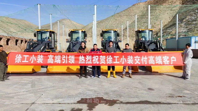 OD官方网站小型装载机批量交付河南客户
